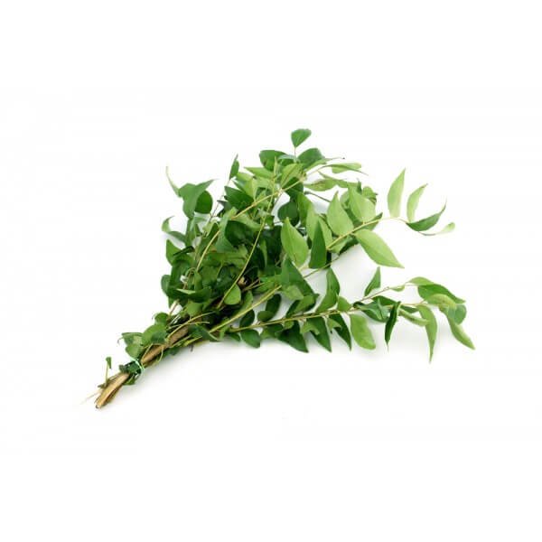 Curry Leaves (1 bunch)